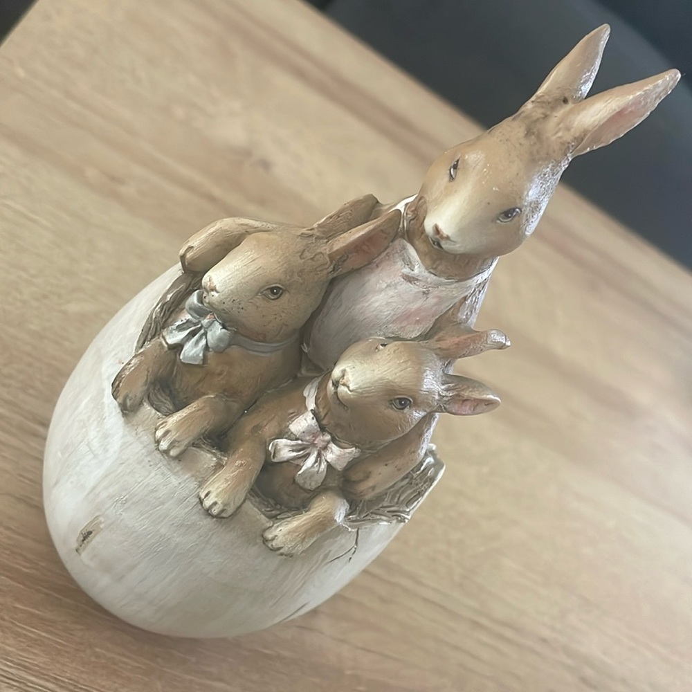 Mommy bunny son and daughter in egg broken at back but not noticeable